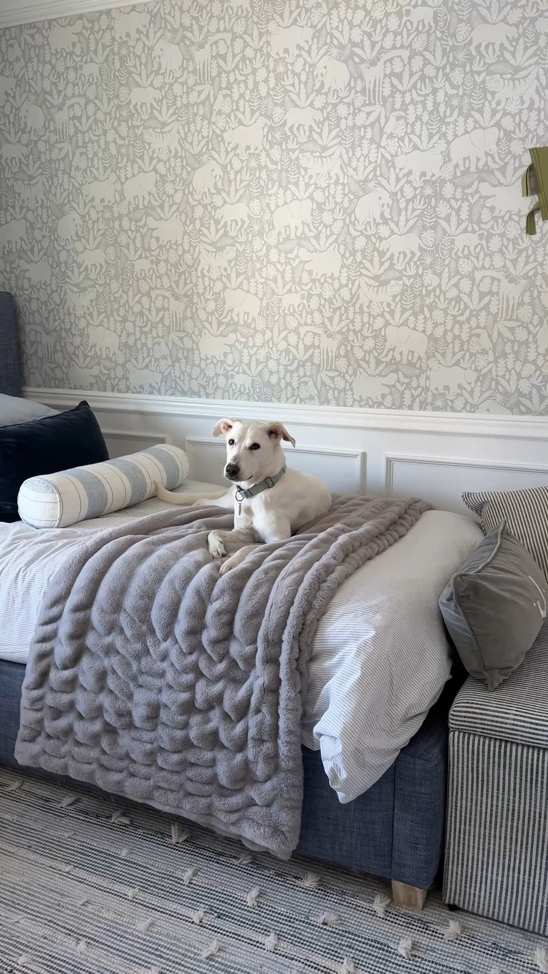 This organic chambray pinstripe bedding is one of my favorites for kids and it’s on sale! Comes in several colors (we have the gray and the blue) 🙌🏻

#LTKSaleAlert #LTKHome #LTKKids