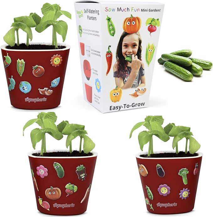 Window Garden Sow Much Fun Seed Starting, Vegetable Planting and Growing Kit for Kids, 3 Self Wat... | Amazon (US)