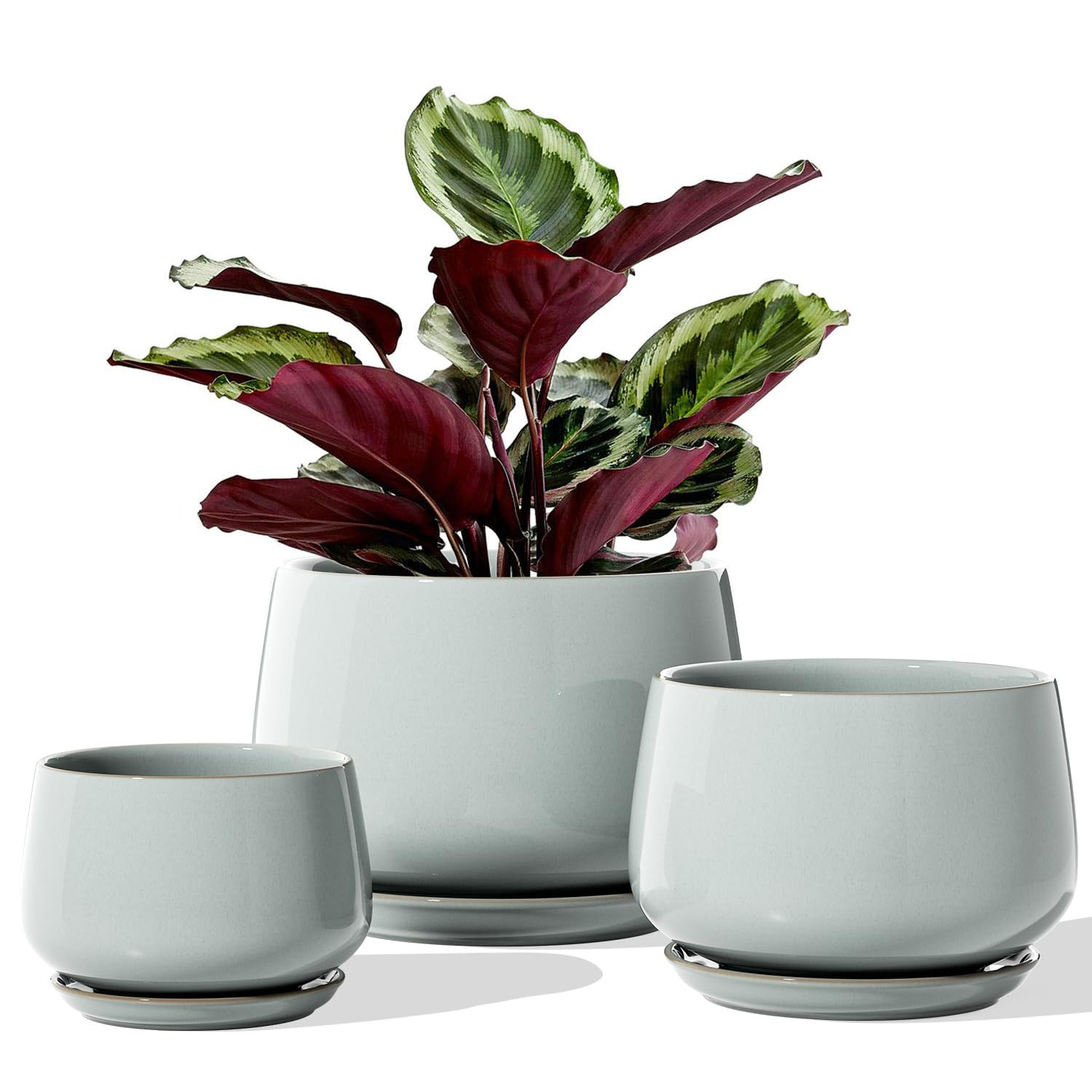 LE TAUCI Plant Pots for Indoor Plants, 4.1+5.1+6.5 inch, Set of 3, Ceramic Planters with Drainage... | Amazon (US)