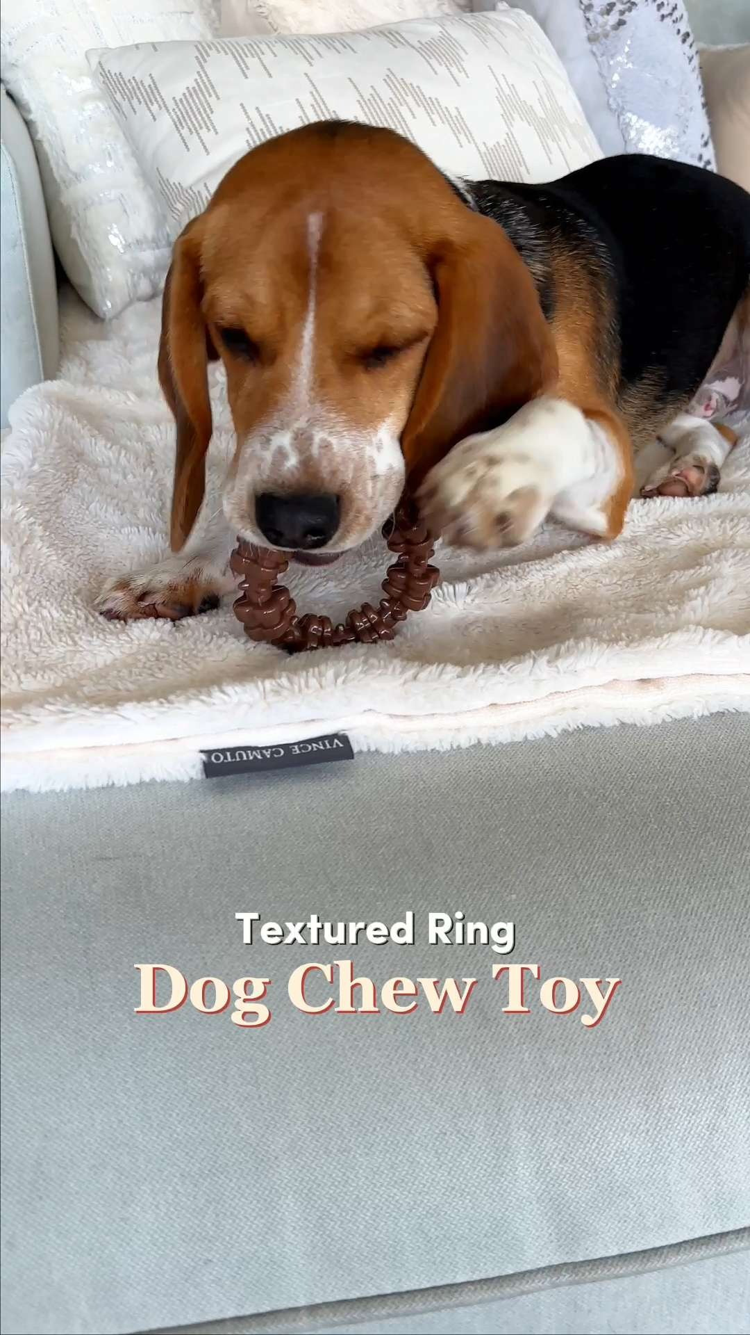 This chew toy is a solid pick for dogs who love to gnaw 🐾 Nylabone Textured Ring encourages healthy chewing habits while keeping dogs entertained. The ring shape makes it easy to hold, and it’s a great option for redirecting chewing energy in a positive way 🦴 #dogtoys #chewtime #petfavorites #doglife #petcare 

#LTKHome #LTKFindsUnder50