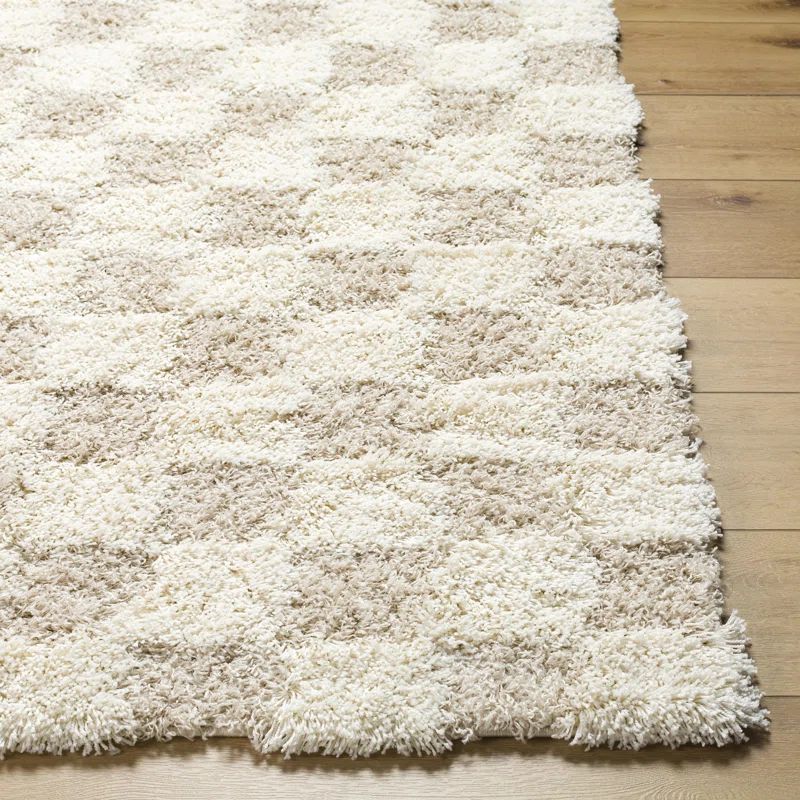 Molly Checkered Machine Woven Polypropylene Area Rug in Cream/Light Beige | Wayfair North America