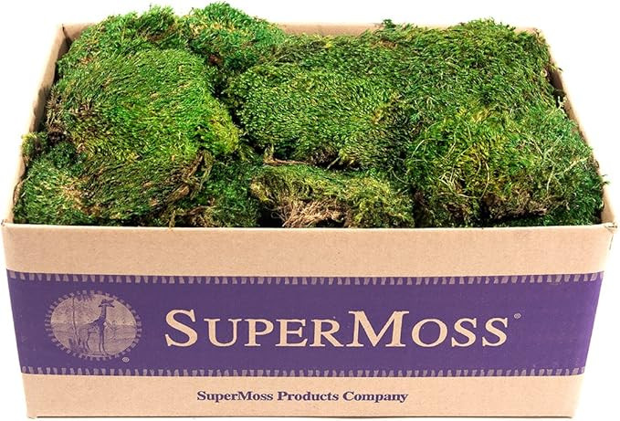 SuperMoss (21538) Mood Moss Preserved, Fresh Green, 3 Pounds | Amazon (US)