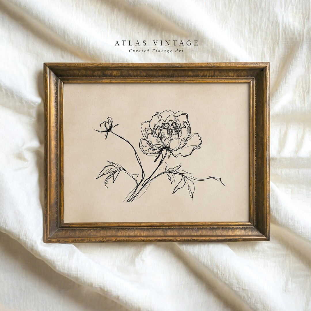Vintage Peony Line Art Prin, Minimalist Beige Floral Drawing, Elegant B&W Flower Sketch, Rustic F... | Etsy (US)