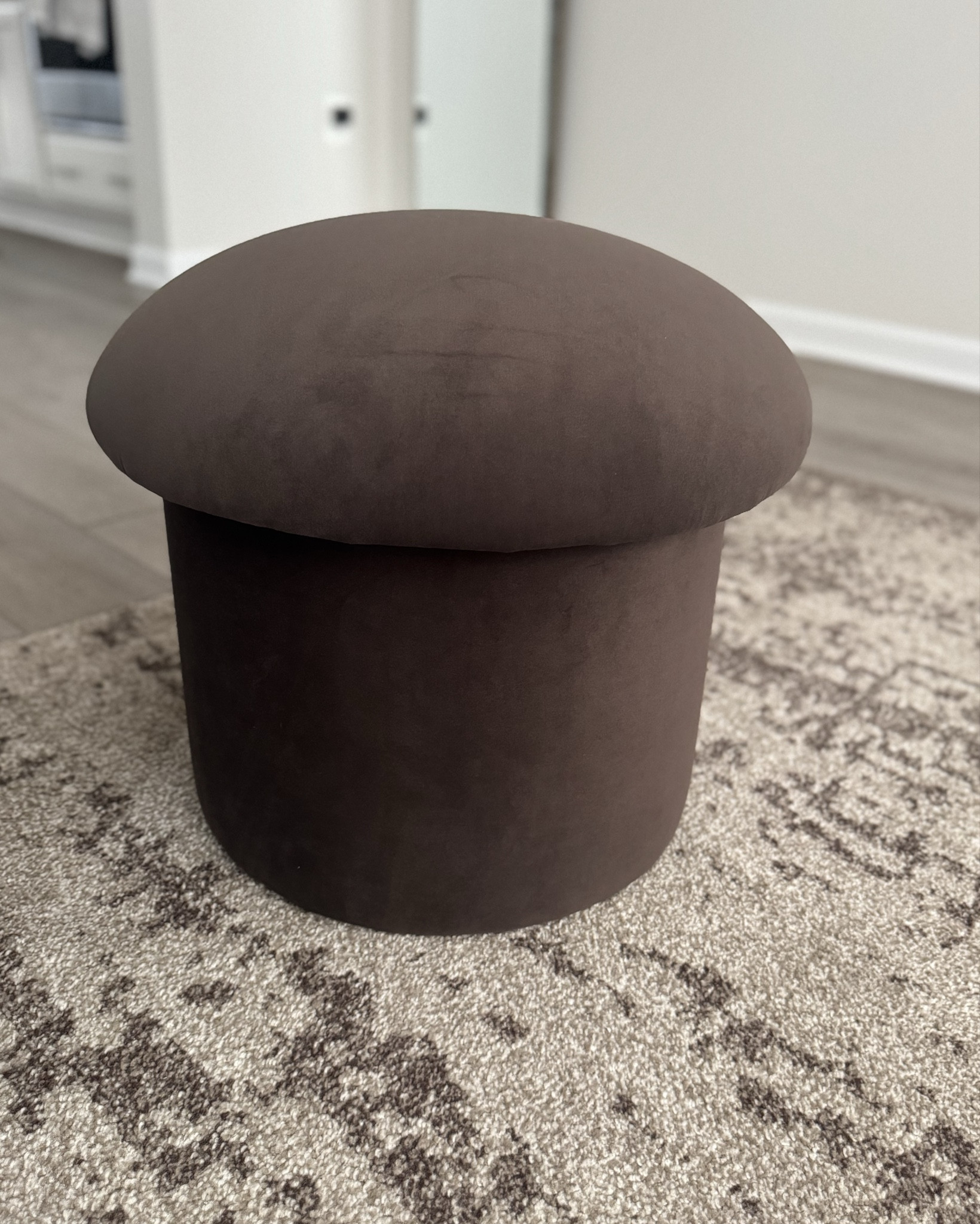 Small home accents, but they are mighty lol.

#ottoman #endtable #housetohome

#LTKHome