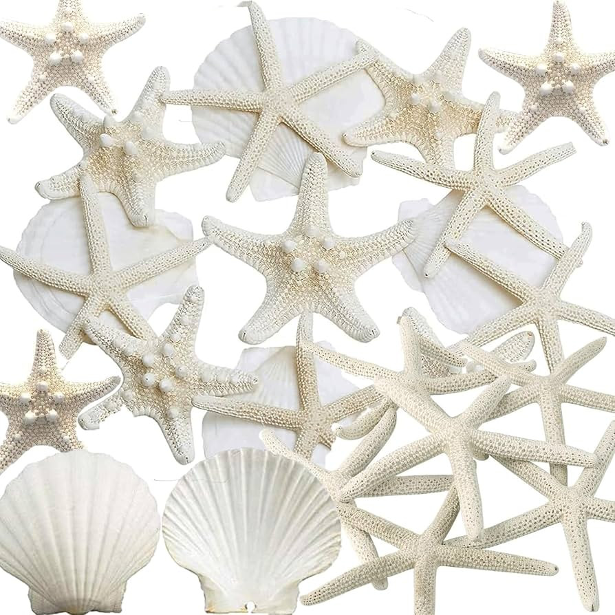 JQAQJU 32PCS Starfish and Scallop Shells for Crafts 3"-4" with Pearls, Natural Sea Shells for Cra... | Amazon (US)