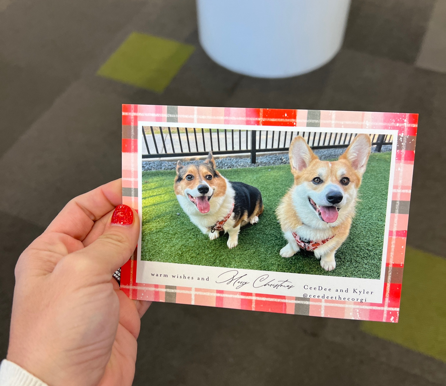 Check out our cute holiday postcards from Minted! We are so excited to send these out to all our friends! 

#LTKSeasonal #LTKHoliday #LTKU