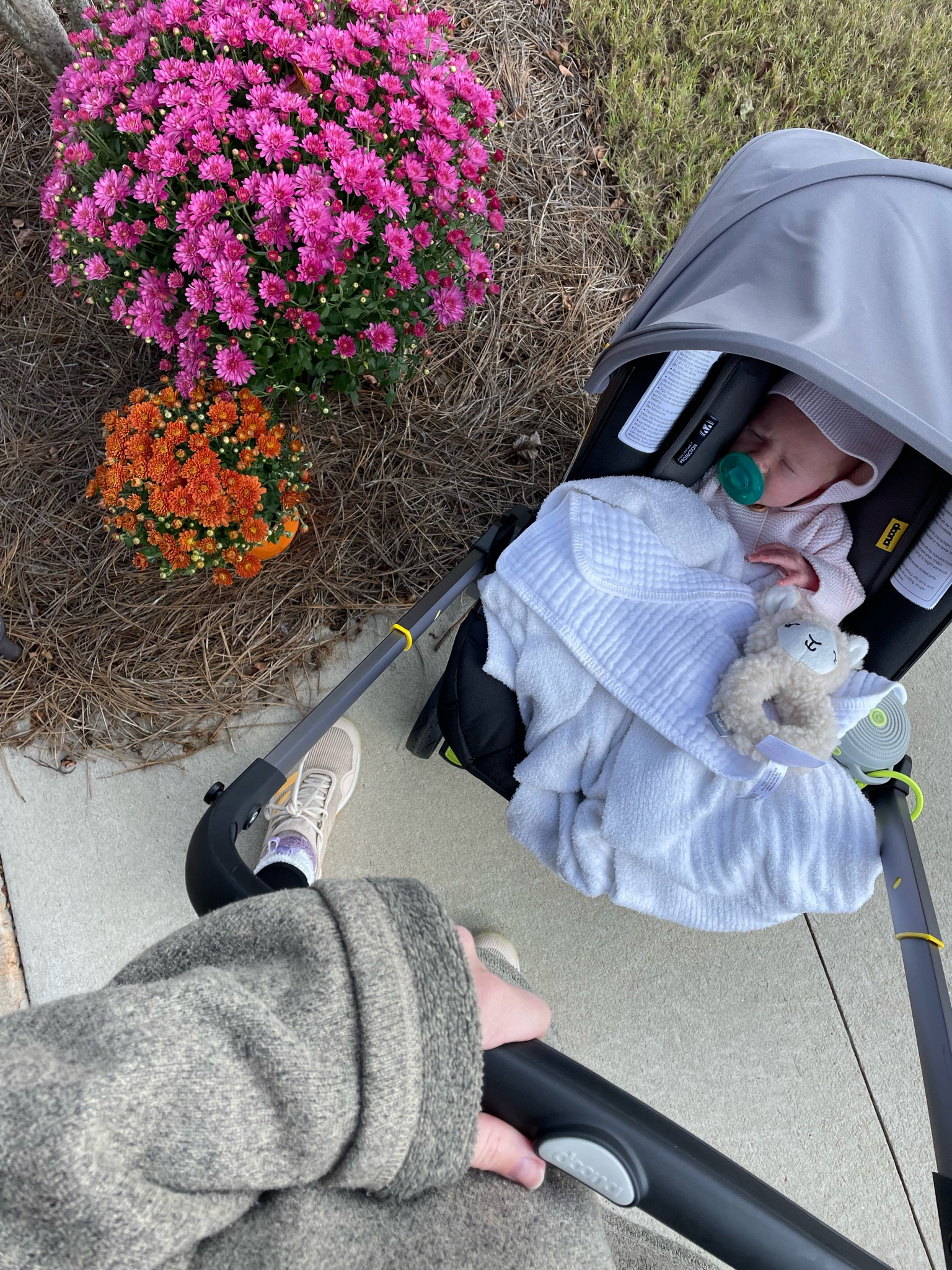 Baby girl loves her stroller! 

#LTKfitness #LTKfamily #LTKbaby