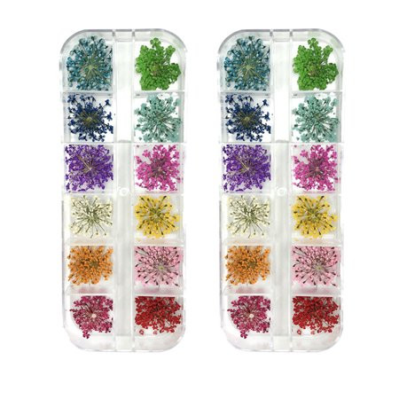Dried Flowers for Nail Art Lovely Natural Flower Nail Art 2 boxes Nail Art Nail Art Accessories Kits | Walmart (US)