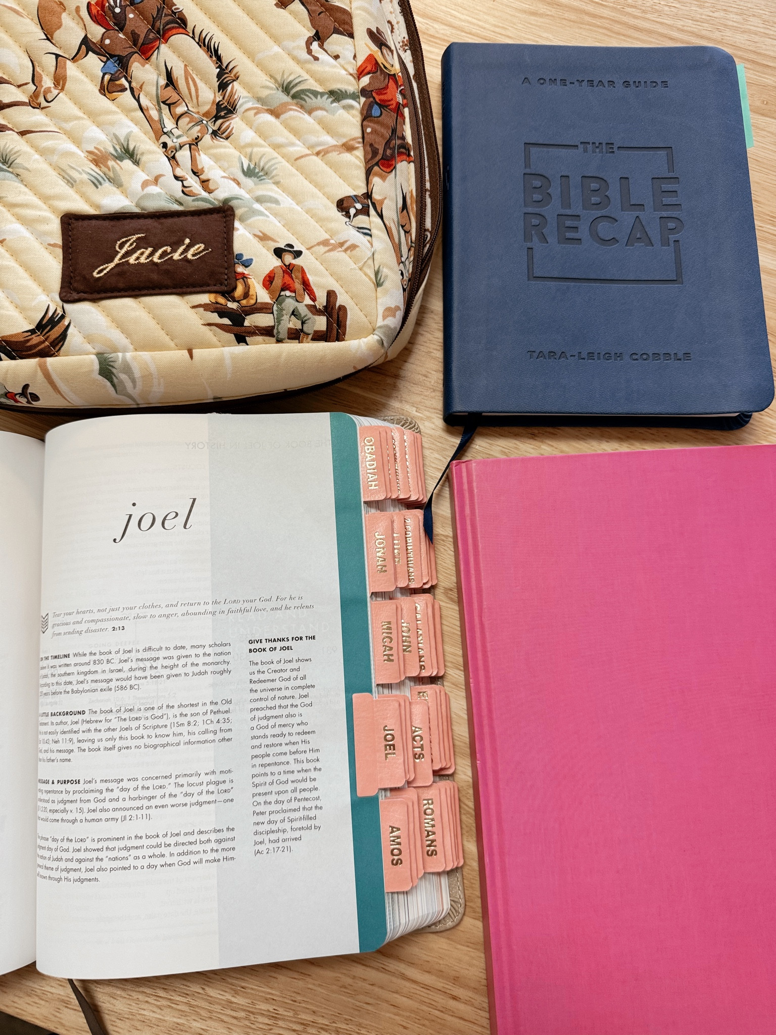 Favorite Bible Study Essentials 🫶🏻✨🍒

#LTKFamily #LTKFindsUnder50 #LTKKids