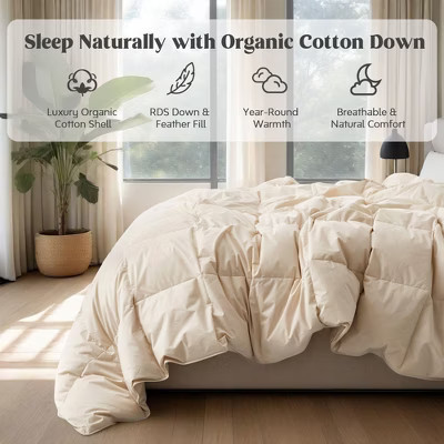 Puredown All Season Organic Cotton Down Comforter - 100% Natural, Chemical-Free, Medium Warmth Duvet Insert, Off-white, Full/Queen | Target