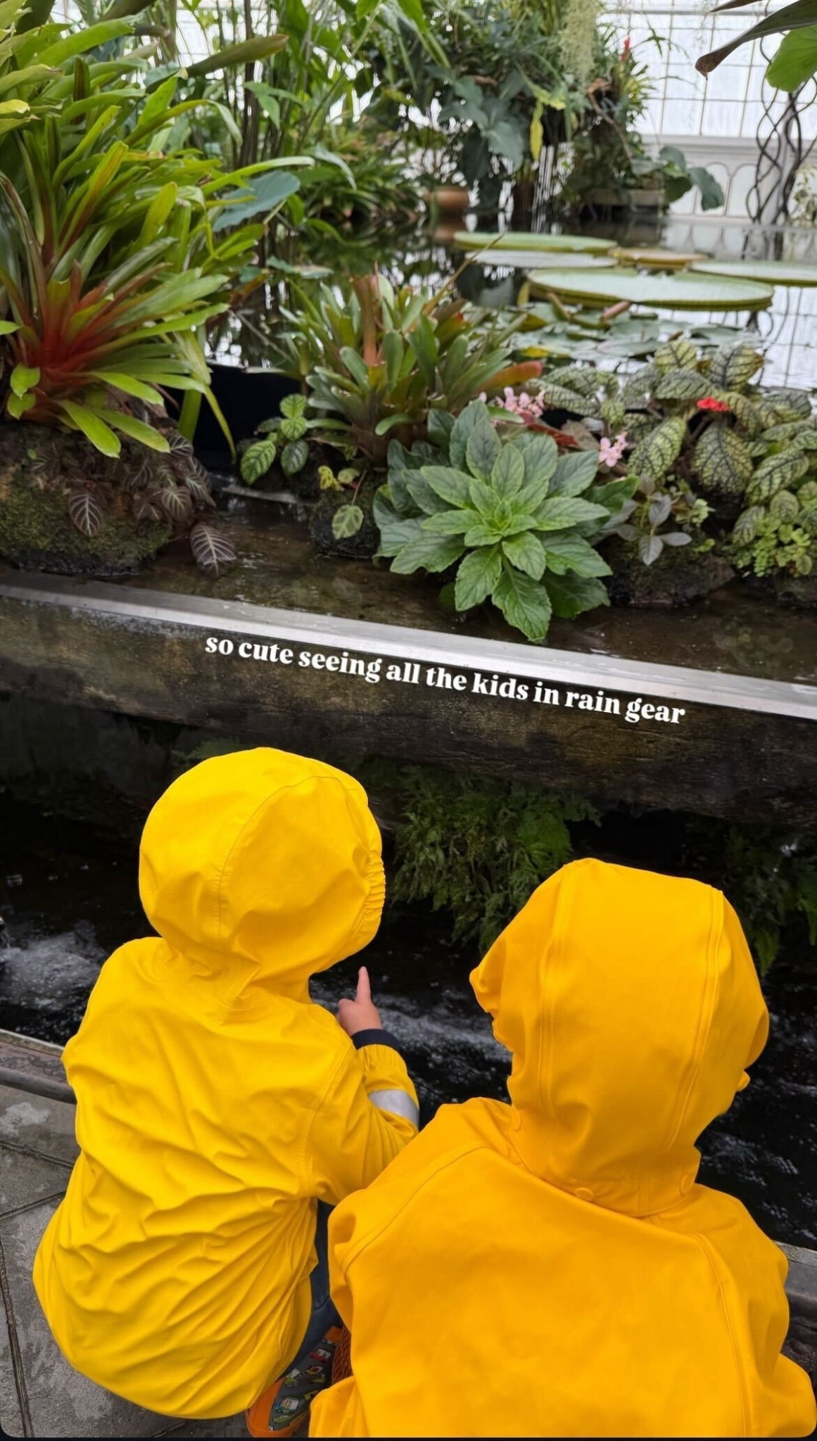 I love seeing all of the kids bundled up in their rain gear! These yellow jackets are too cute 🐥

#LTKKids #LTKmomlife #LTKSeasonal
