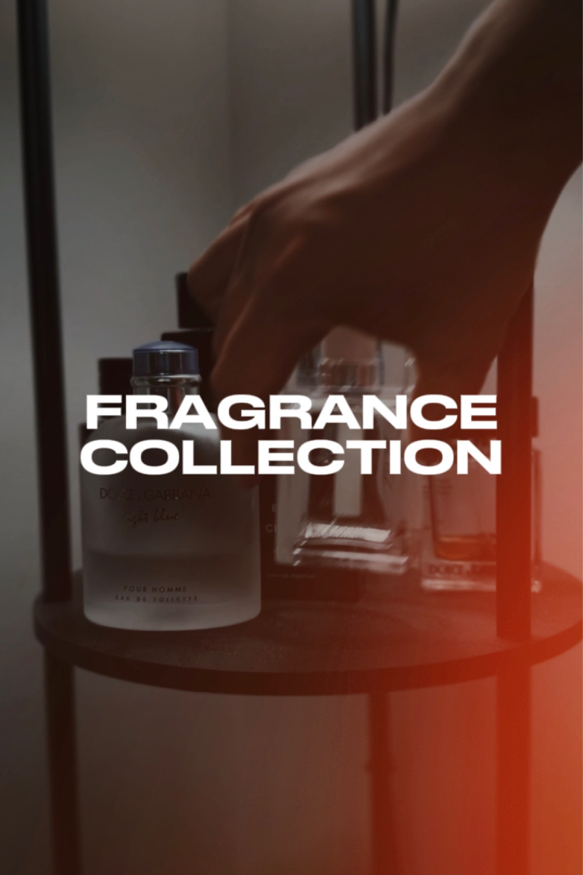 Fragrance Collection 

#LTKMostLoved #LTKVideo #LTKGiftGuide