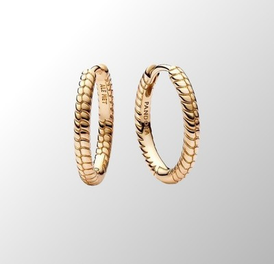 Genuine Pandora Moments Small Charm Hoop Earrings 14k Gold Plated | eBay UK