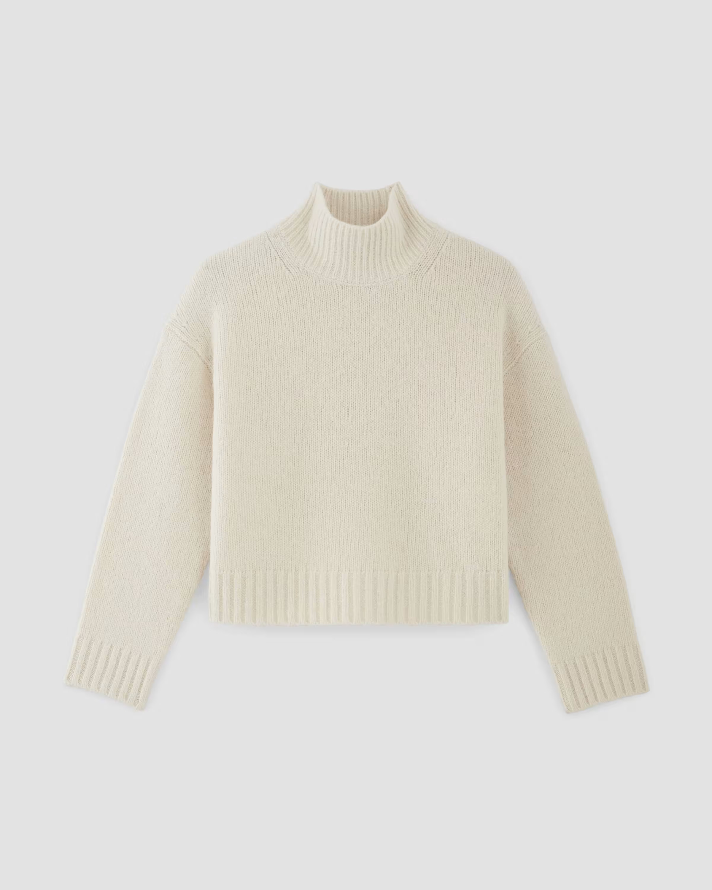 The Cloud Oversized Turtleneck | Everlane