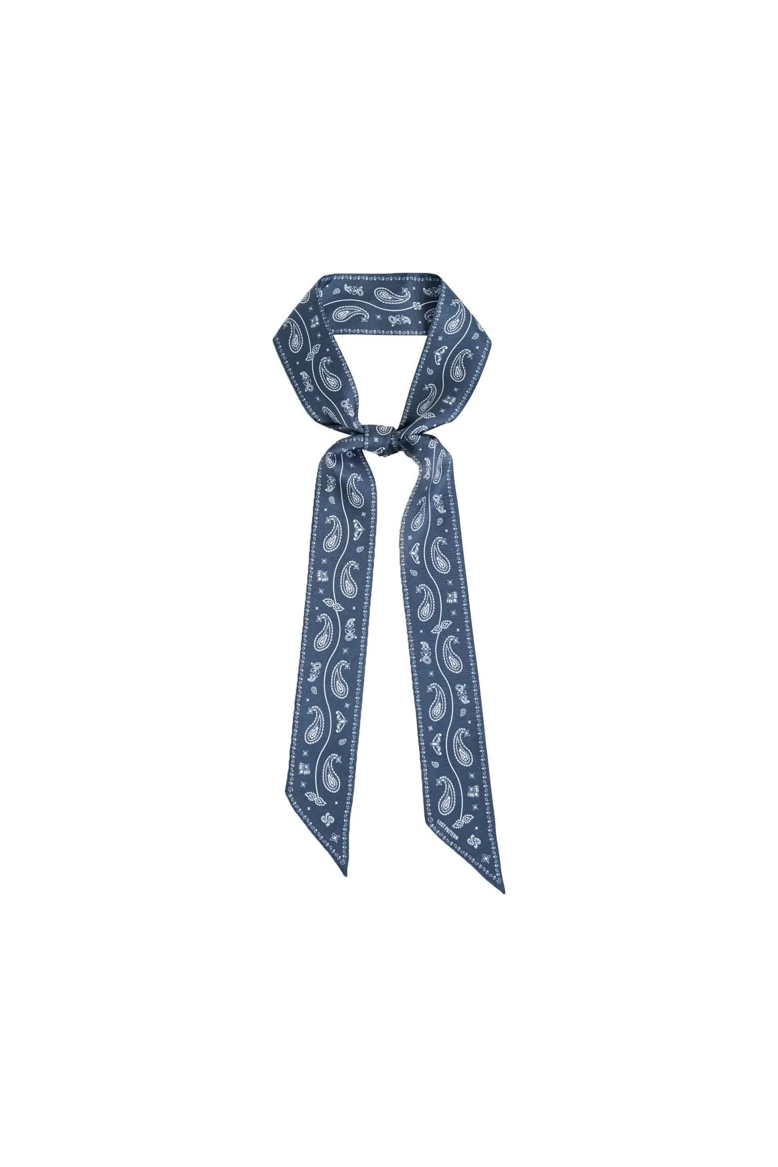 "Paisley" Silk Twill Skinny Scarf (Women) | Nordstrom | Nordstrom