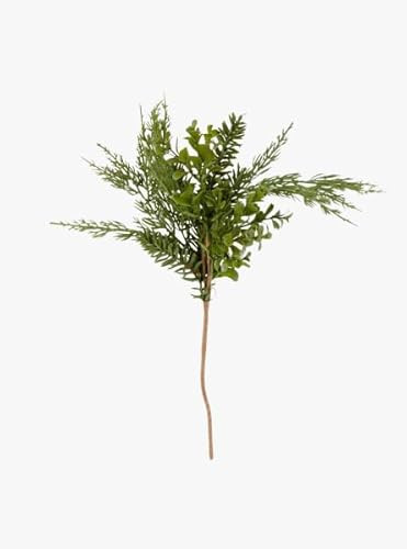 The Refined Dwelling Real Touch Boxwood and Mixed Pine Pick | Amazon (US)
