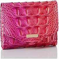 BRAHMIN Cupid Ombre Melbourne Small Veronica | Amazon (US)