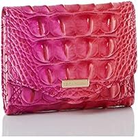 BRAHMIN Cupid Ombre Melbourne Small Veronica | Amazon (US)