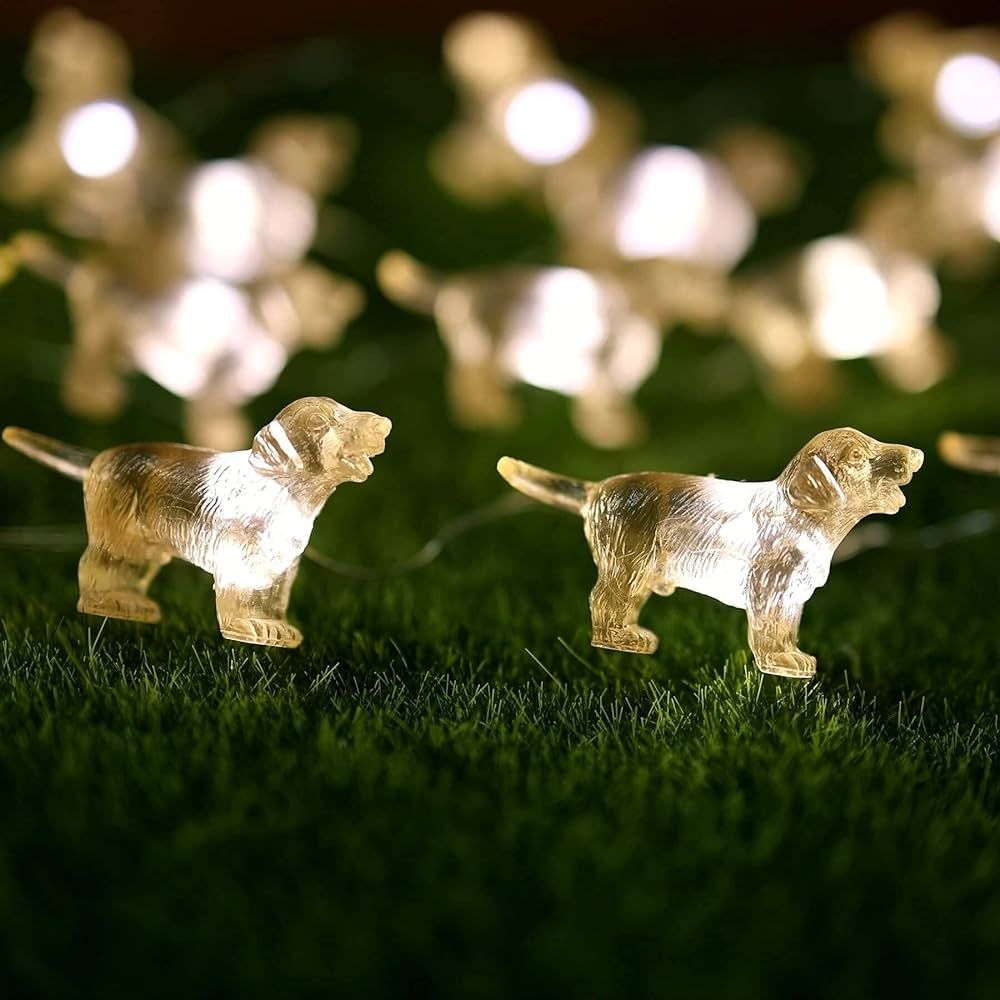 JASHIKA Labrador Retriever Gifts Cute Fairy String Lights 8.5ft 20 Lighting lab Night Light Decor... | Amazon (US)
