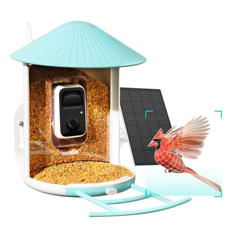 Smart Bird Feeder Camera Netvue Birdfy Automatic Outdoor Bird Accessories with APP Notification AI R | Walmart (US)
