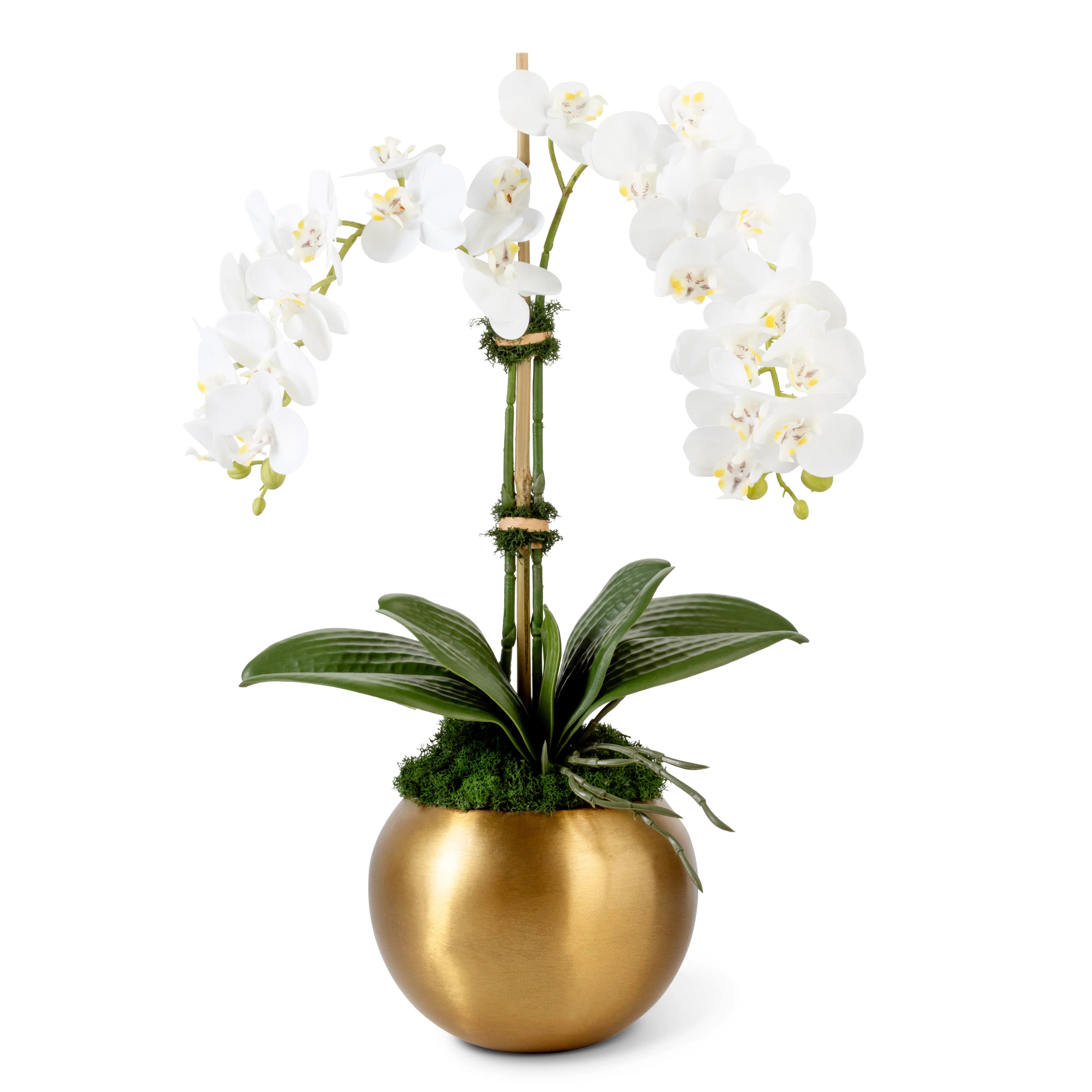 Adeline Gold Realtouch Orchid | Perigold