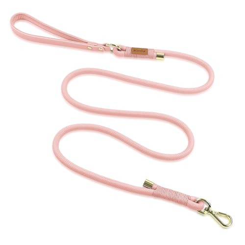 Wisedog Polyester Rope Dog Leash Heavy Duty with Soft Comfortable Padded Handle, Durable stylish Braided Pet Leash 5 Ft/6 Ft for Small Medium Large Dogs (Gossamer Pink, L|6 ft x 0.5") | Amazon (US)