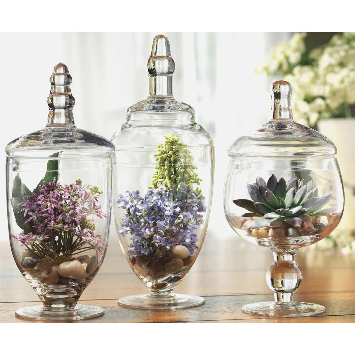 Brentten Glass Apothecary Jar | Wayfair North America