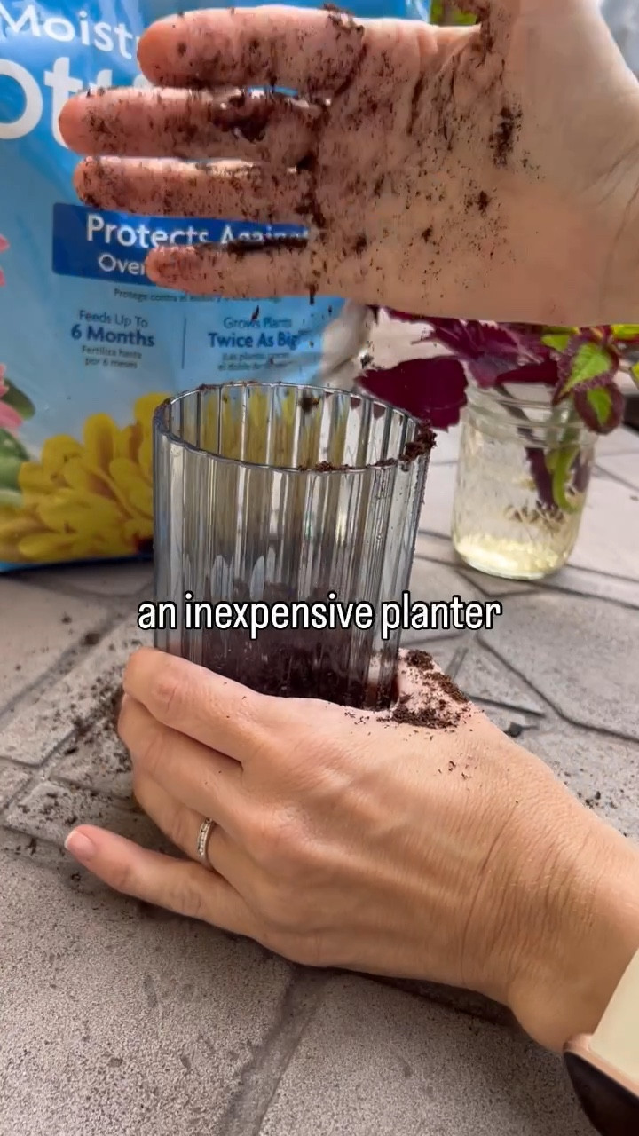 In need of a nice (and inexpensive) pot for your indoor plants? Look for a plastic tumbler in a color and style you like. I used a pointed, metal skewer to burn a drainage hole into the bottom of the cup and popped my plant right in. DIY can be fun! Give it a go.

#LTKHome #LTKStyleTip