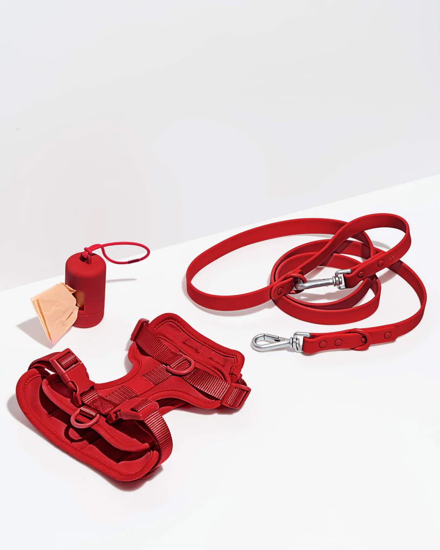 Harness Walk Kit | Dog Harness & Leash Kit | Wild One | Wild One