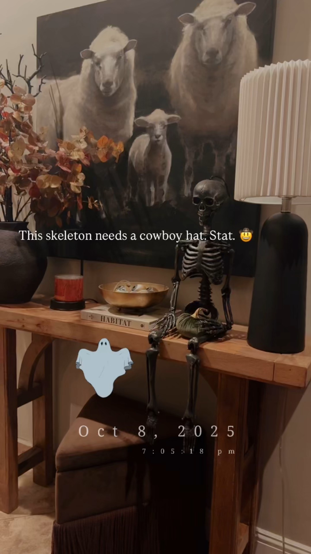 #LTKSeasonal #LTKHalloween #LTKHome