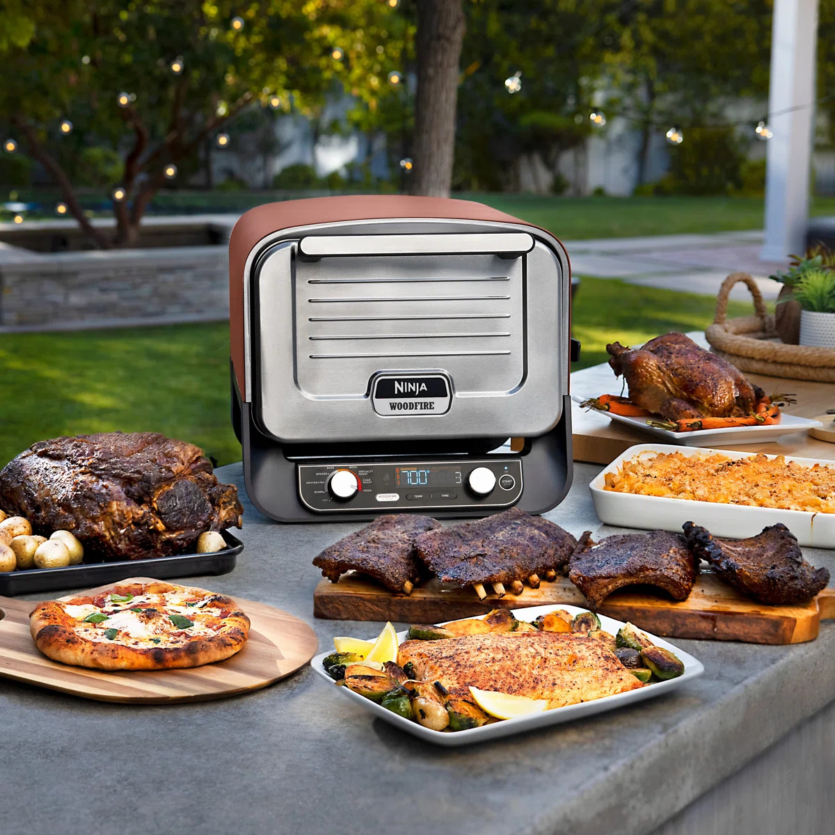 Ninja Woodfire Outdoor Pizza Oven, 8-in-1 Portable Electric Roaster Oven, Heats up to 700\u00b0F,... | Wayfair North America