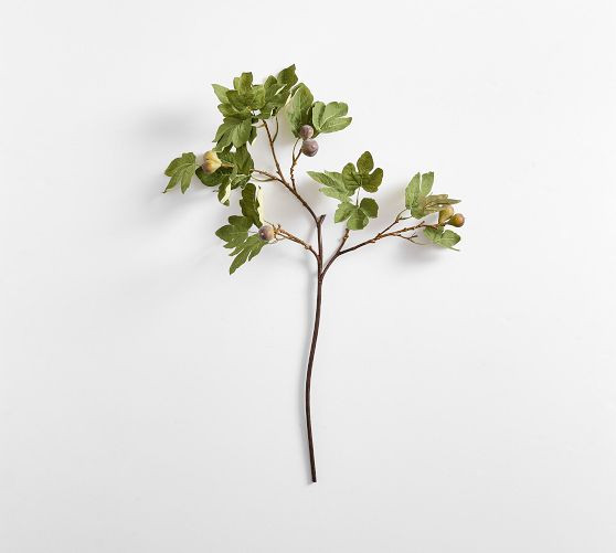 Faux Green Fig Branch | Pottery Barn (US)