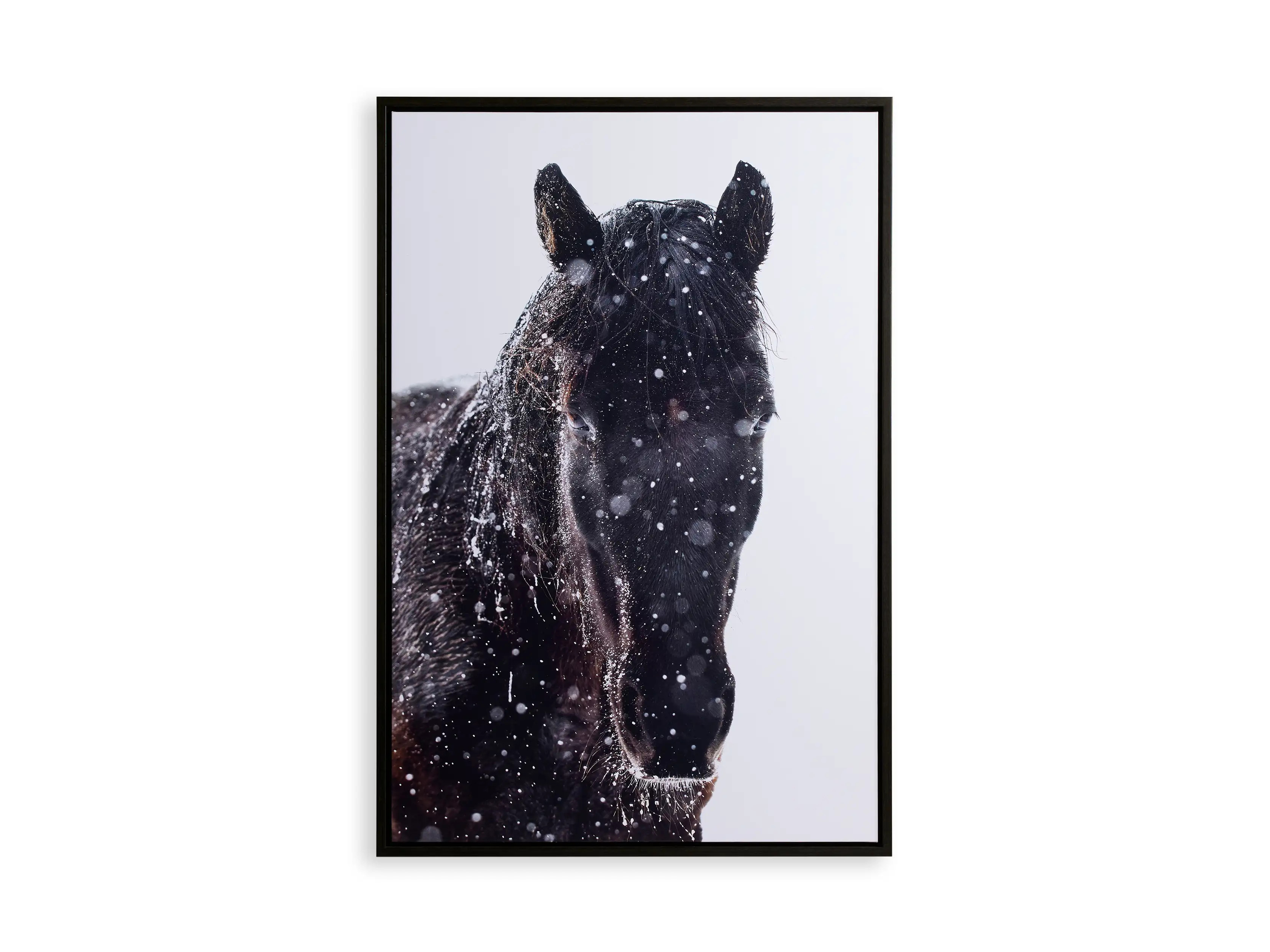 Enchanted Framed Print IV | Arhaus