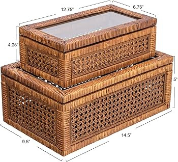 Creative Co-Op Modern Decorative Rectangle Woven Rattan and Wood Display Boxes with Glass Top, Se... | Amazon (US)