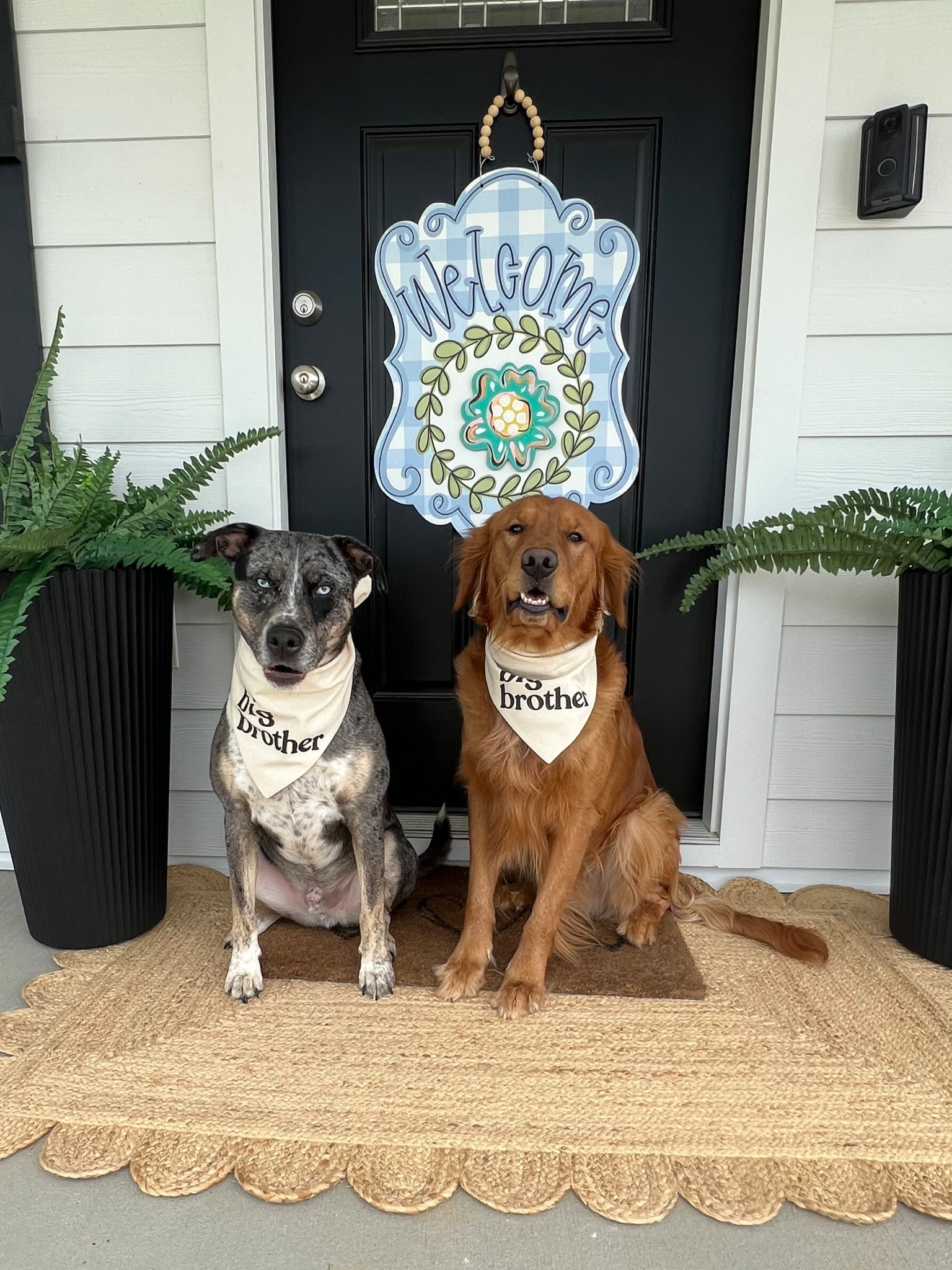 Big brothers 🐶🐶

#LTKHome #LTKPets #LTKBaby