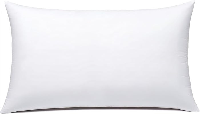 JIEITIVE Throw Pillow Inserts Hypoallergenic Premium Pillow Stuffer Rectangle Lumbar Pillow for D... | Amazon (US)