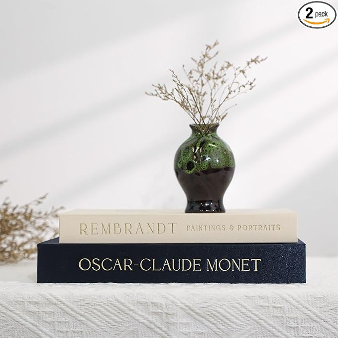 Decorative Books Set of 2 - Aesthetic Faux Book Storage Box for Coffee Table Decor Photo & Keepsa... | Amazon (US)