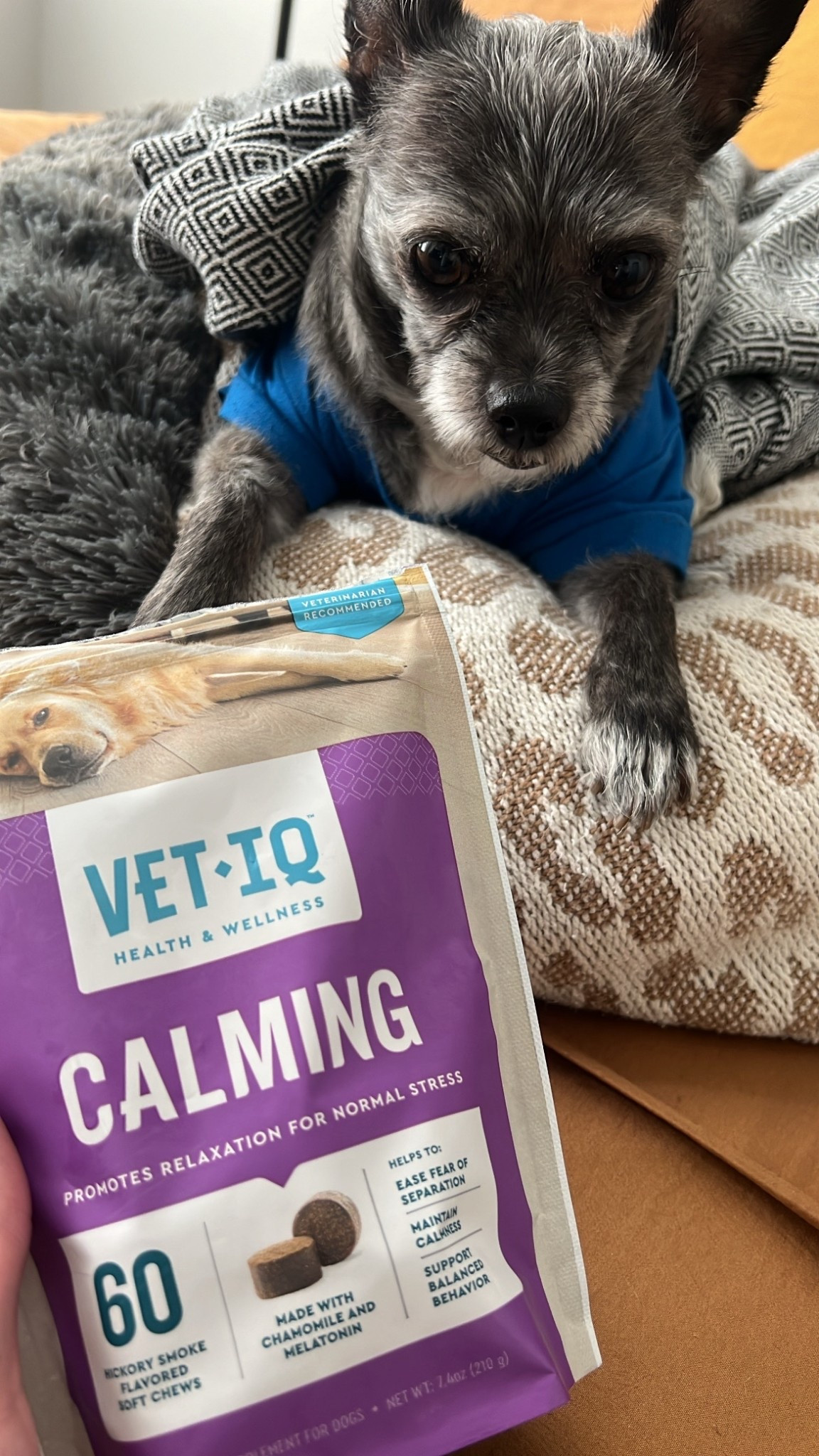 Anxious dog? Scary dog? They just need to relax…these were great!

#LTKmomlife #LTKFindsUnder50 #LTKHome