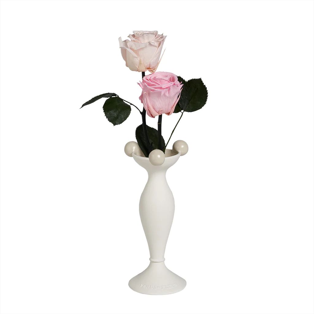 Maison Collection - Babiole Vase with Two Long Stem Eternity Rose | Venus ET Fleur