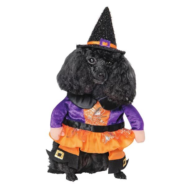 Way To Celebrate Halloween Pet Costume: Witch, Size Small - Walmart.com | Walmart (US)