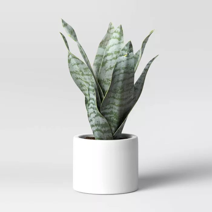 Target/Home/Home Decor/Decorative Objects & Sculptures‎8" x 5" Artificial Snake Plant in Pot - ... | Target