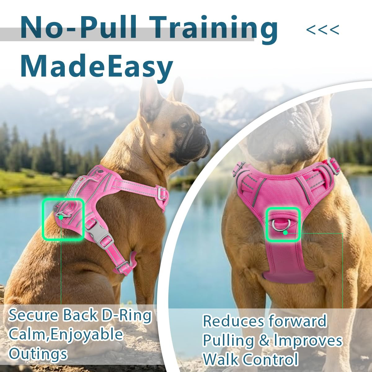 BARKBAY Dog Harness No Pull with ID Tag Pocket - Heavy Duty, Reflective, Easy Control for Large D... | Amazon (US)
