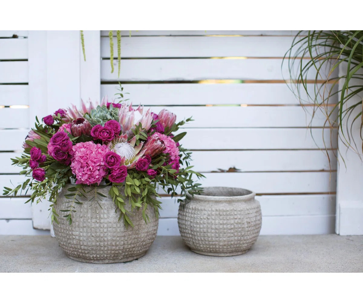 Birch Lane™ Enderby Ceramic Pot Planter & Reviews | Wayfair | Wayfair North America