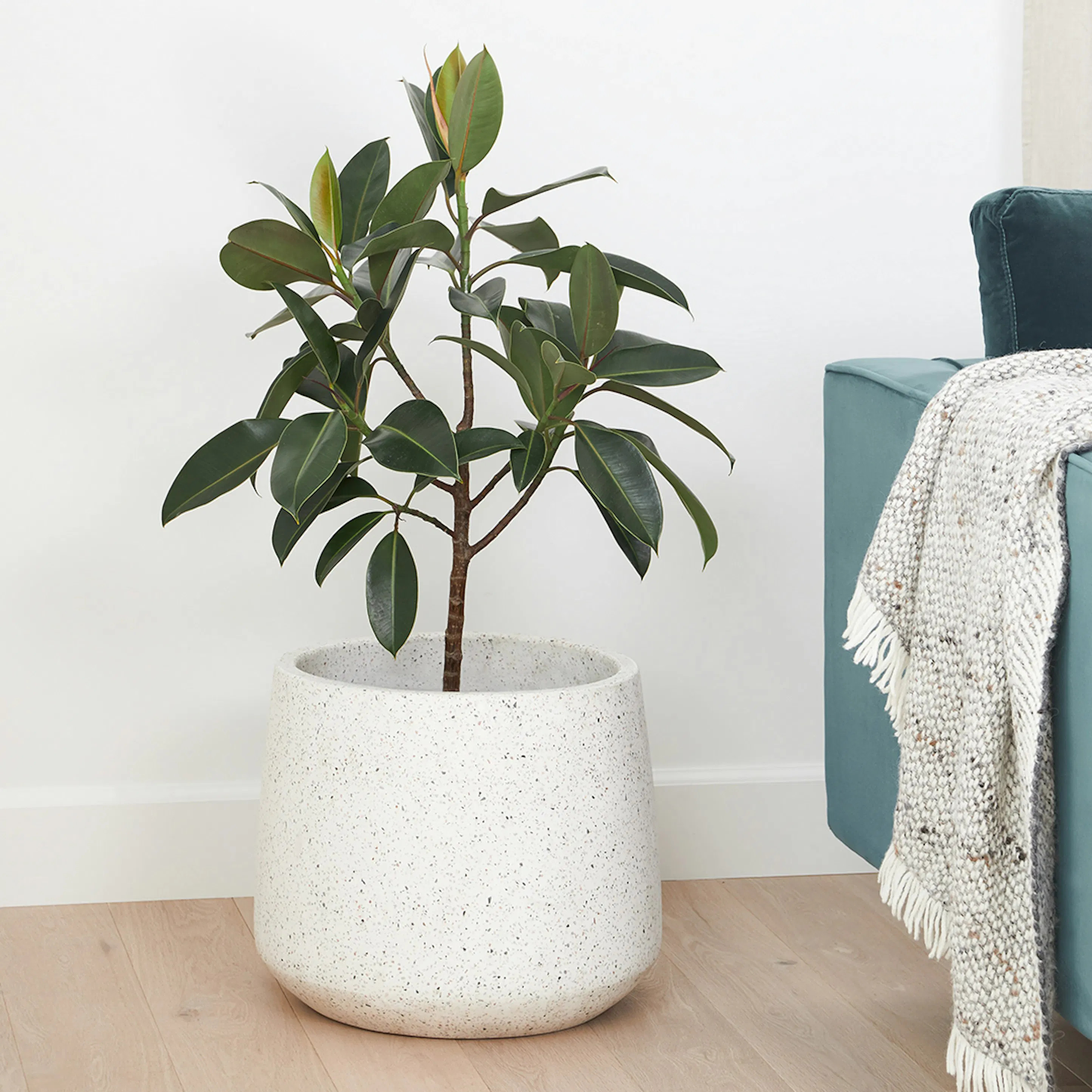 Tuva Indoor/Outdoor Wide Planter - White Terrazzo | Article