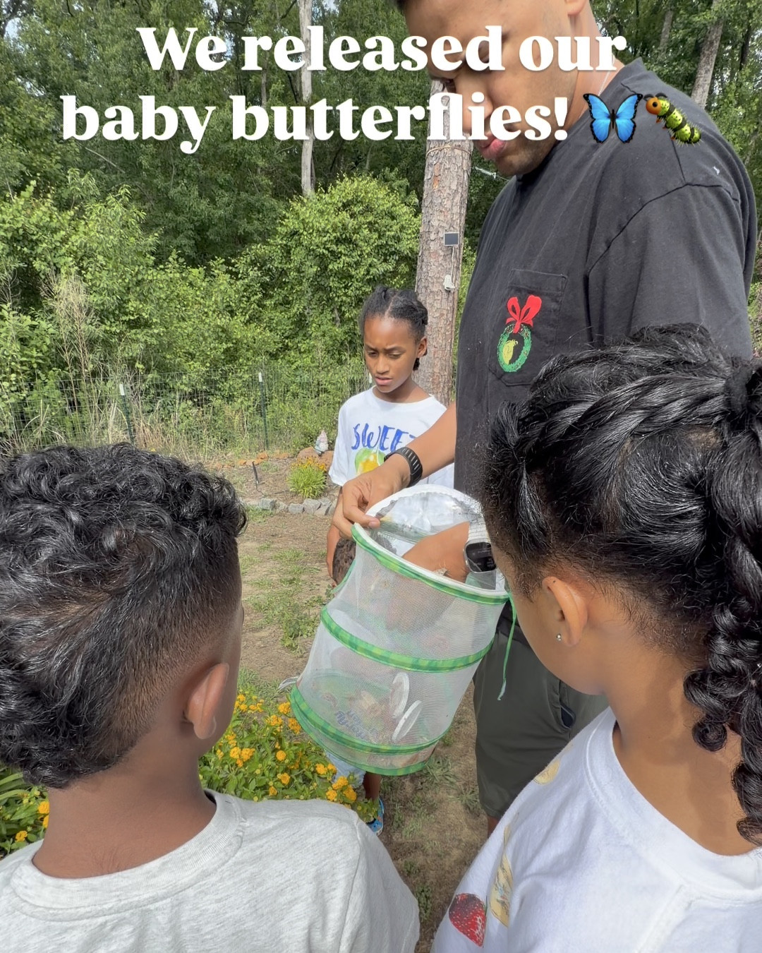 Growing butterflies will be forever be one of my favorite traditions 