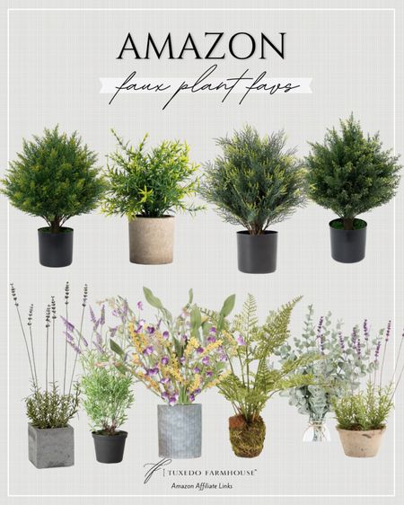 Amazon - Faux plant favs

Bring some life to your space without the maintenance!

Seasonal, home decor, summer, faux plant, botanical 

#LTKSeasonal #LTKFindsUnder50 #LTKHome