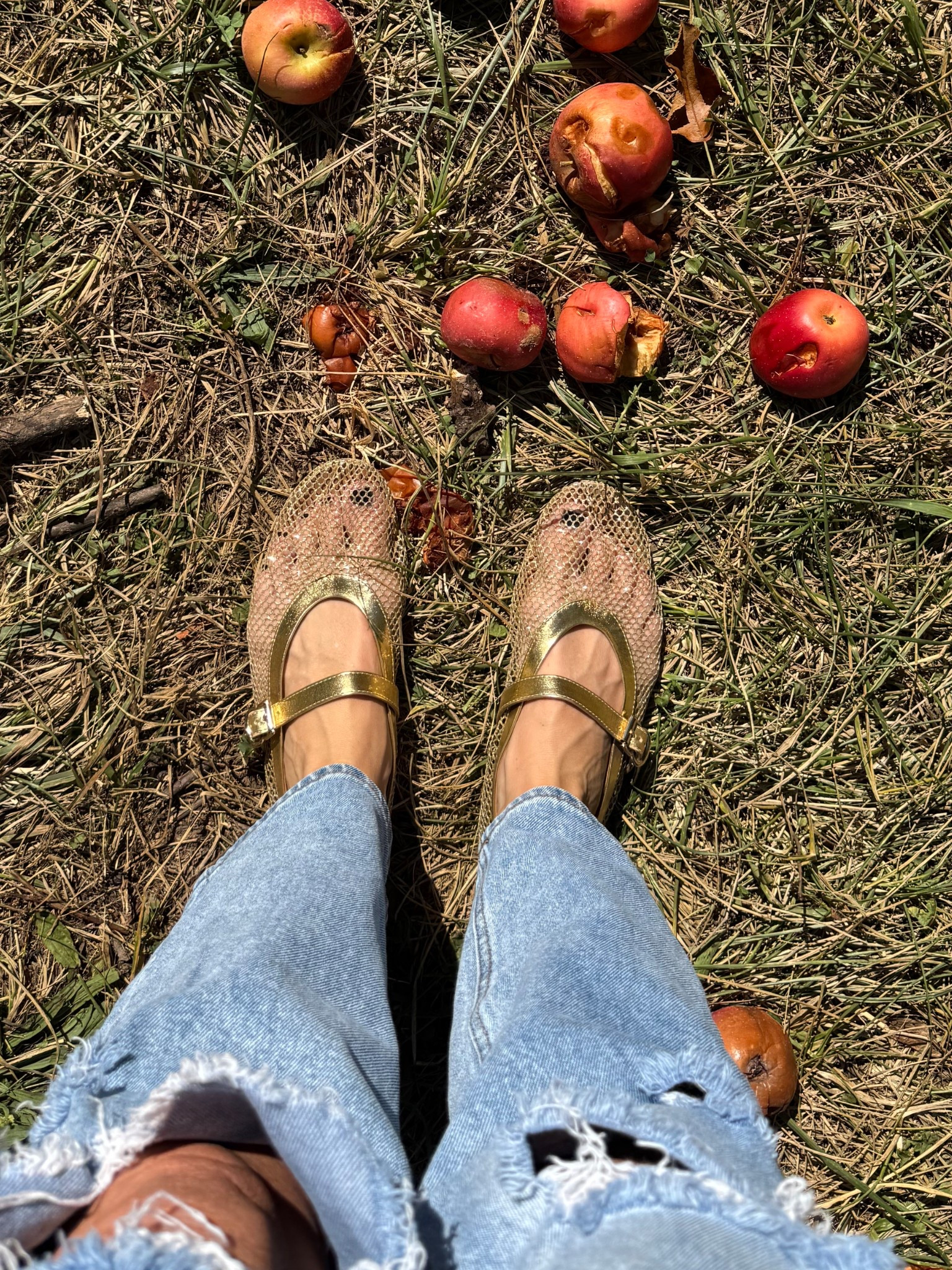 Gold flats for fall | sparkly shoes | sparkle Mary Jane’s | fall shoes for women | Amazon prime 

#LTKFindsUnder50 #LTKShoeCrush #LTKSeasonal