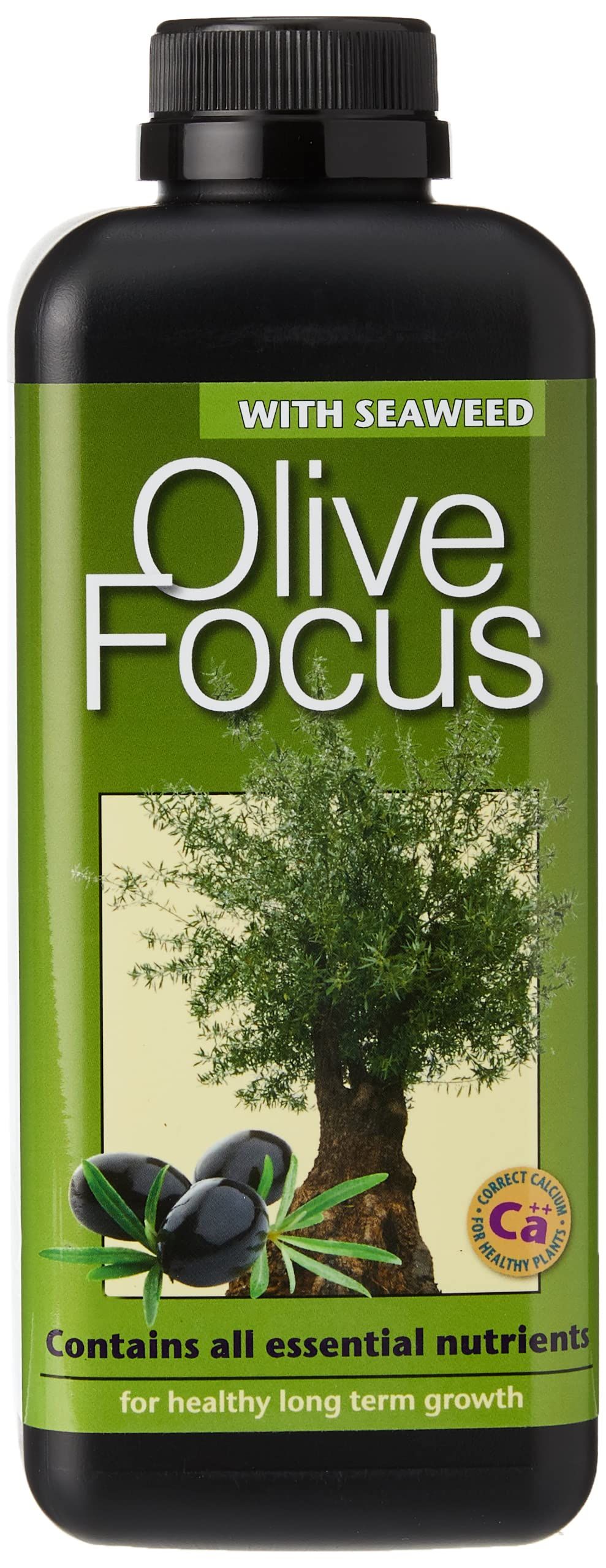 Olive Focus Liquid Concentrated Fertiliser 1 Litre | Amazon (UK)