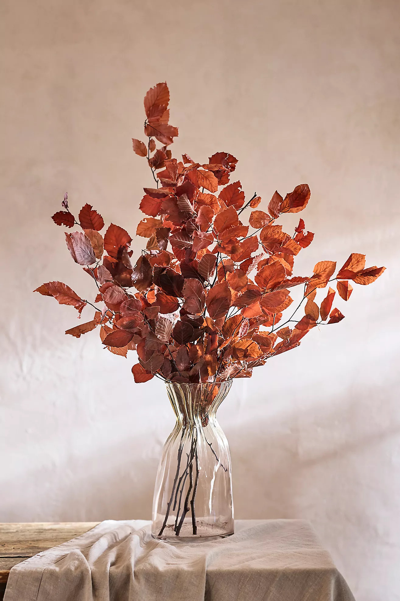 Preserved Beech Leaf Bunch | Anthropologie (US)