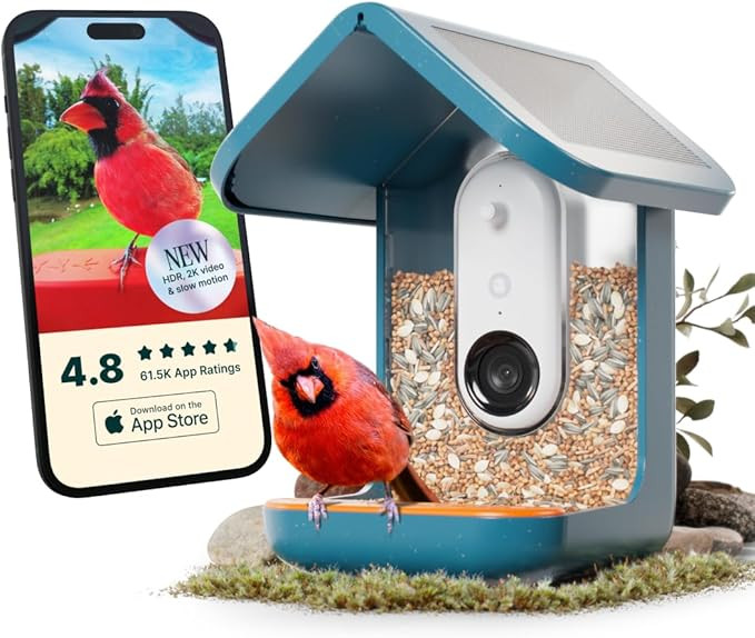 Bird Buddy PRO Solar Smart Bird Feeder with Camera - AI Bird Species Identification, 5MP Photos, ... | Amazon (US)